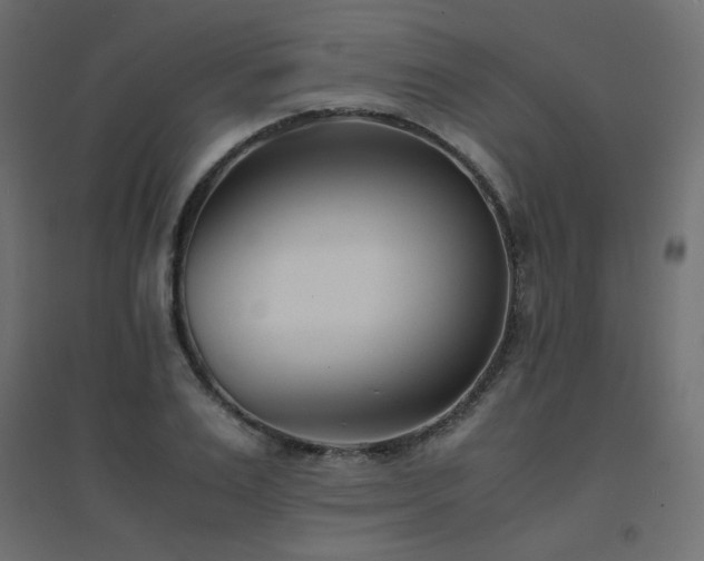 X0000094910983200711291251