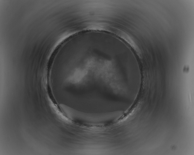 X0000094910984200711291251