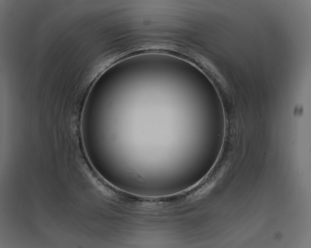 X0000094910985200711291251
