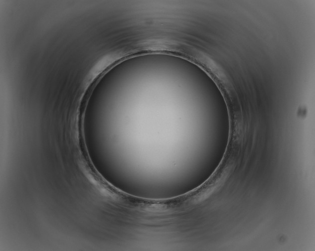 X0000094910986200711291251