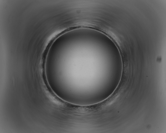 X0000094910987200711291251