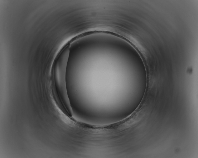 X0000094910988200711291251