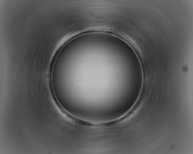 X0000094910989200711291251