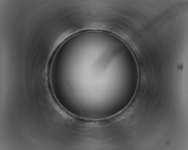 X0000094910990200711291251