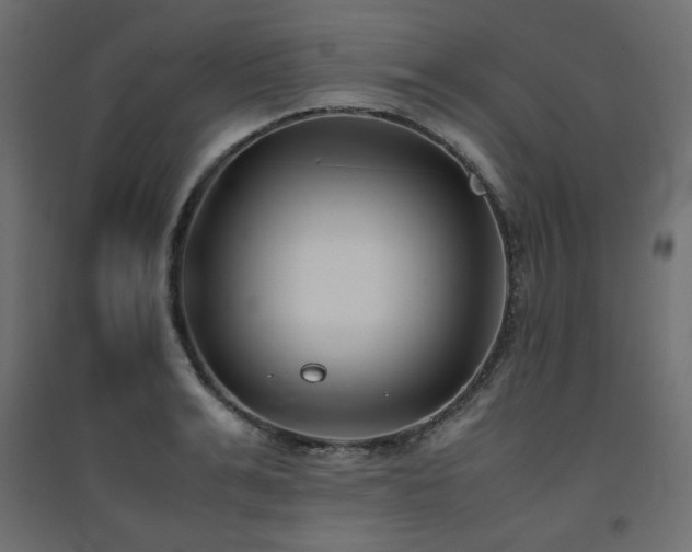 X0000094910991200711291251