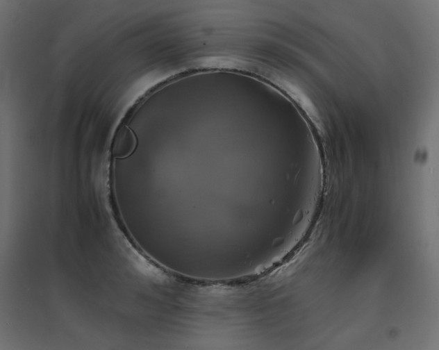 X0000094910992200711291251