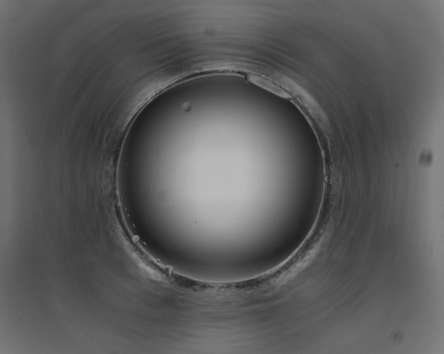 X0000094910993200711291251