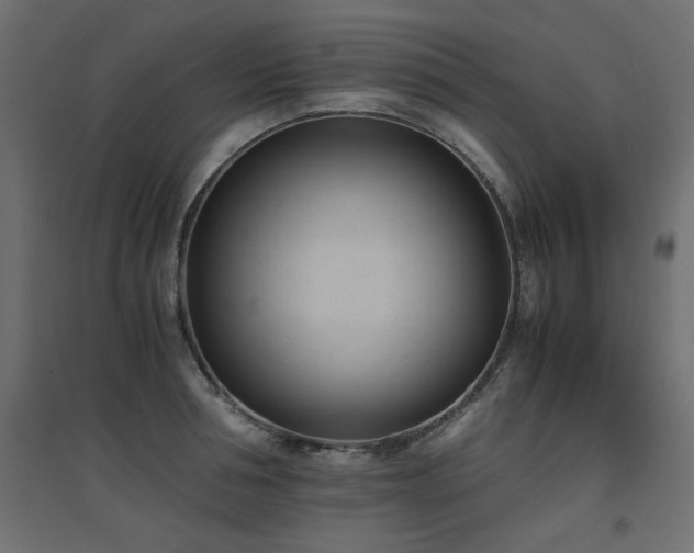 X0000094910994200711291251