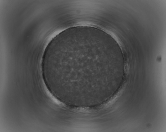 X0000094910995200711291251