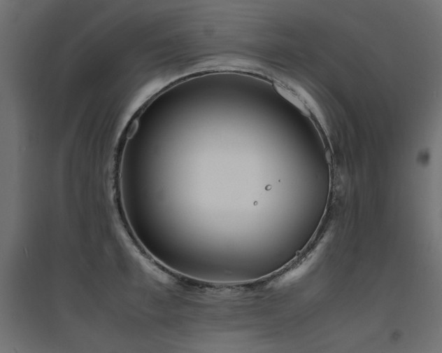 X0000094910997200711291251