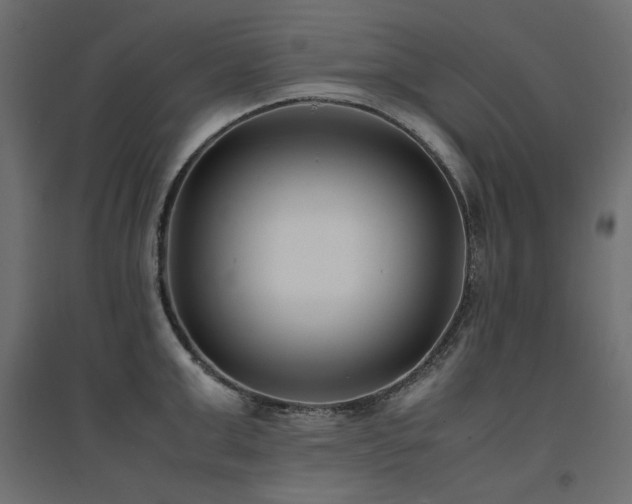 X0000094910999200711291251