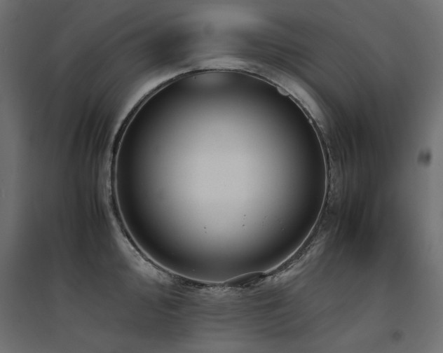 X0000094911000200711291251