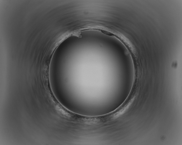 X0000094911001200711291251