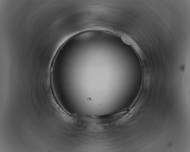 X0000094911004200711291251
