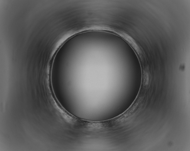 X0000094911006200711291251