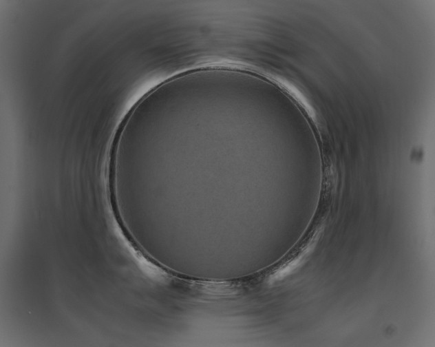 X0000094911007200711291251