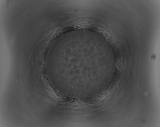 X0000094911009200711291250