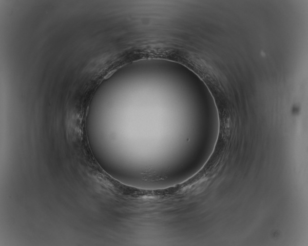 X0000094911010200711291250