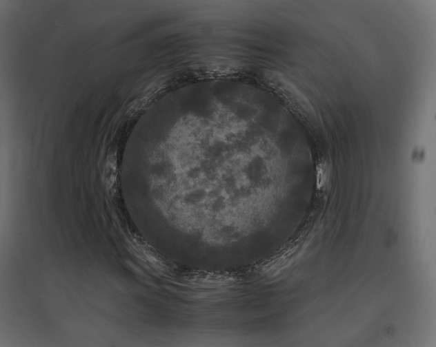 X0000094911011200711291250