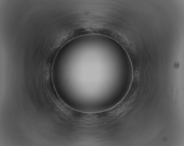 X0000094911012200711291250