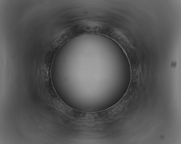 X0000094911013200711291250