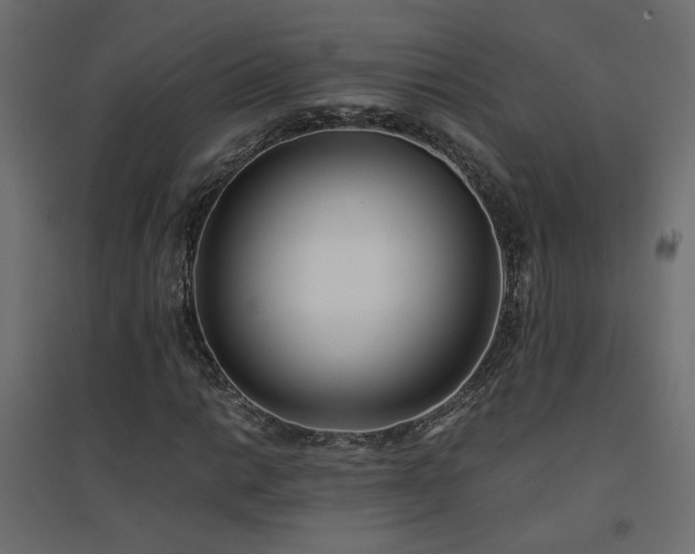 X0000094911014200711291250