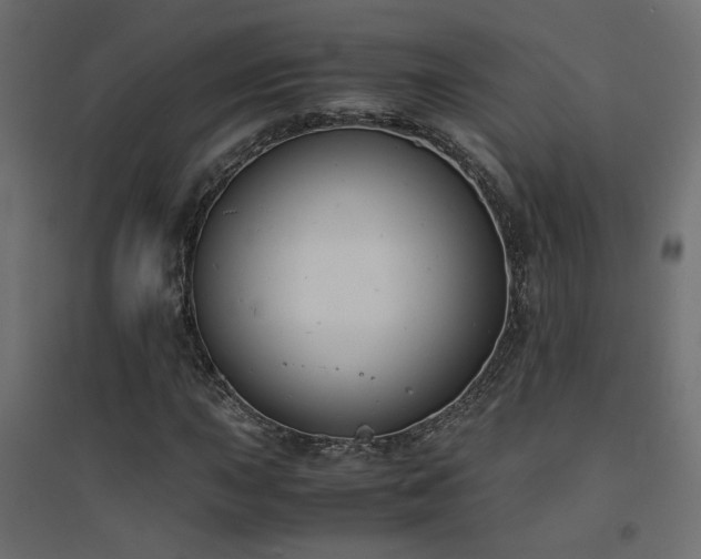 X0000094911015200711291250