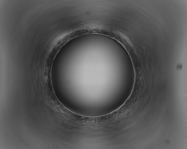 X0000094911016200711291250