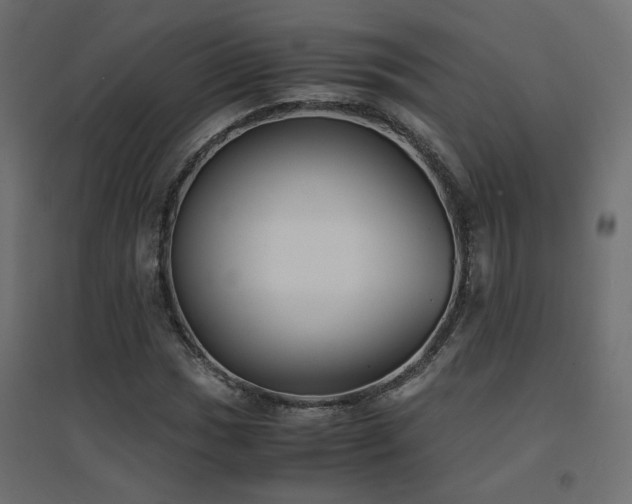 X0000094911017200711291250