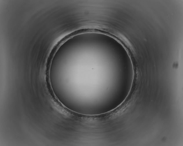 X0000094911020200711291250