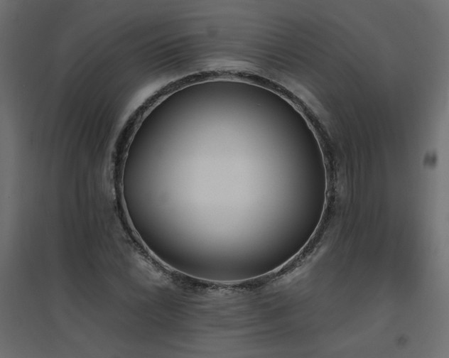 X0000094911022200711291250