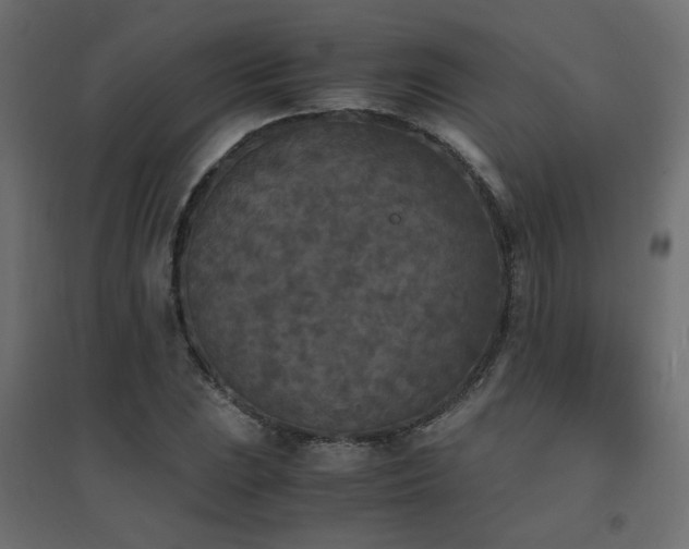 X0000094911023200711291250