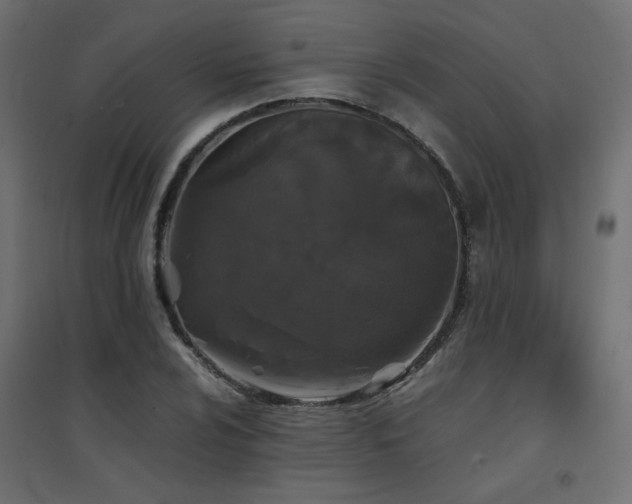 X0000094911024200711291250