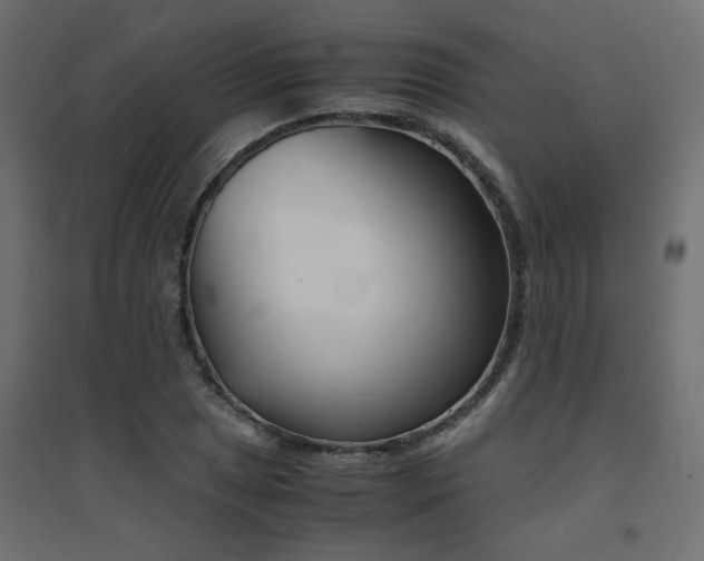 X0000094911025200711291250