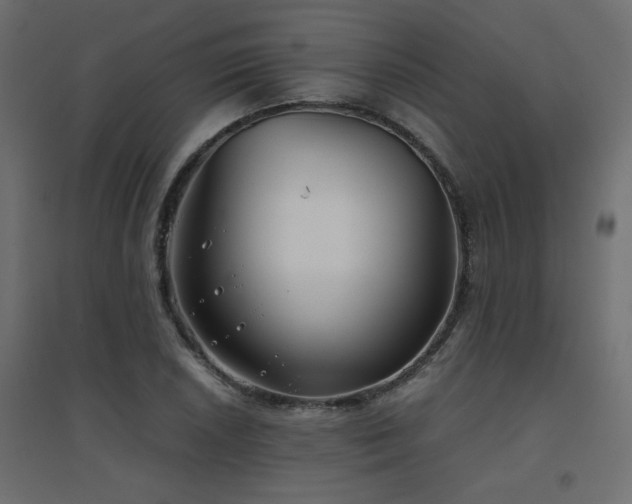 X0000094911026200711291250
