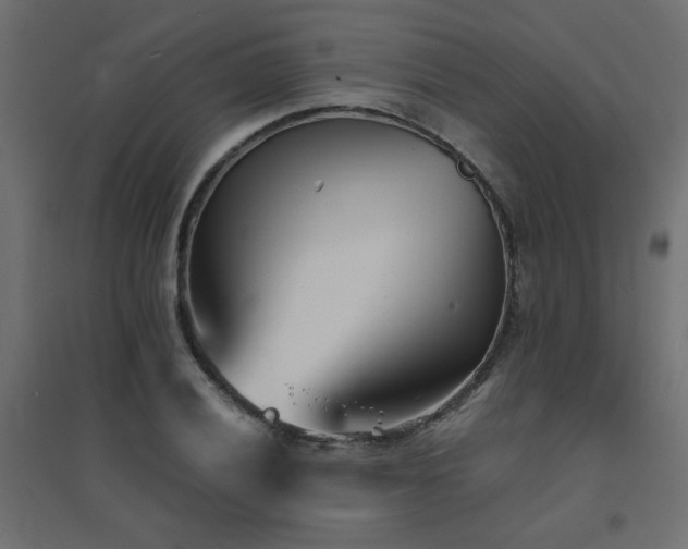X0000094911028200711291250