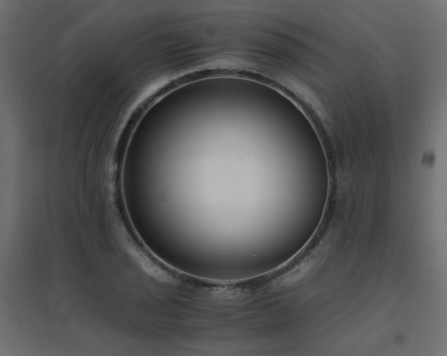 X0000094911029200711291250
