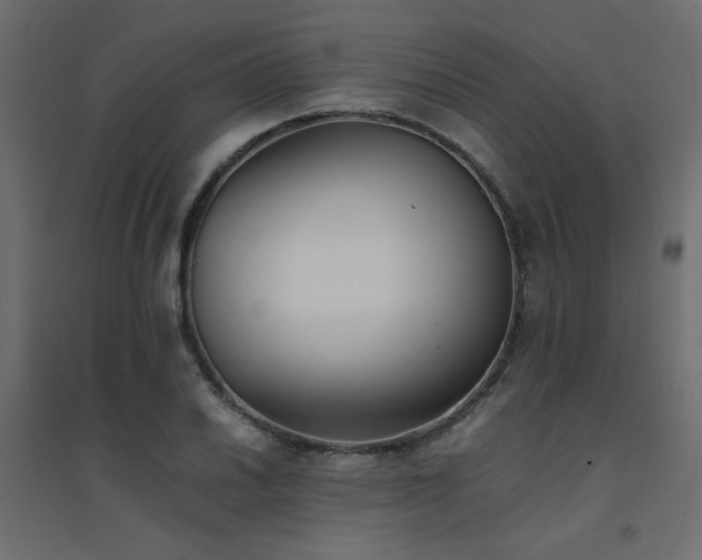X0000094911030200711291250