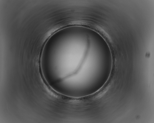 X0000094911033200711291250