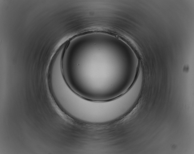 X0000094911034200711291250