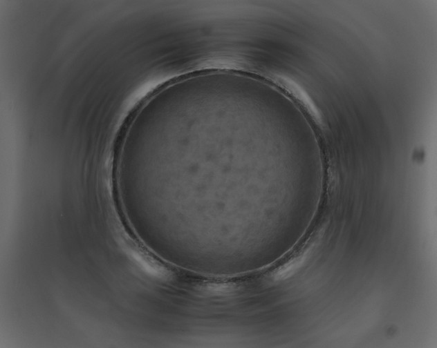 X0000094911035200711291250