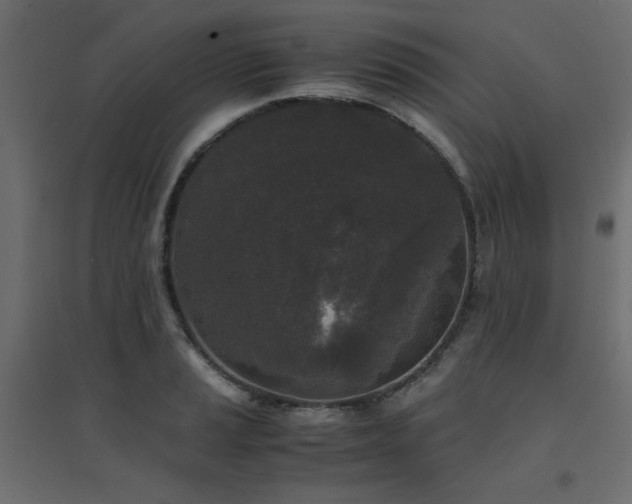 X0000094911037200711291250