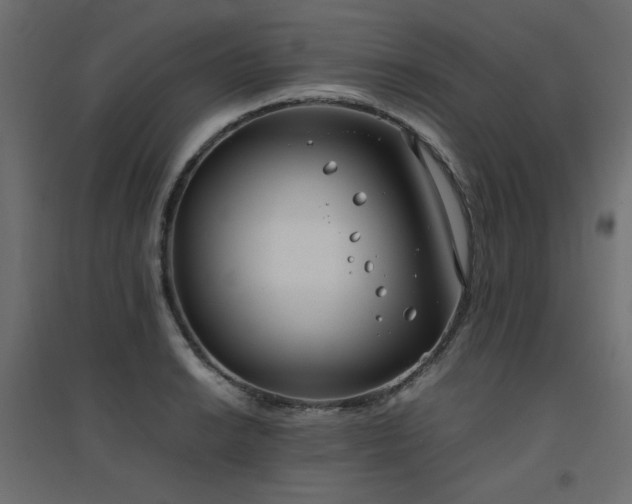 X0000094911038200711291250