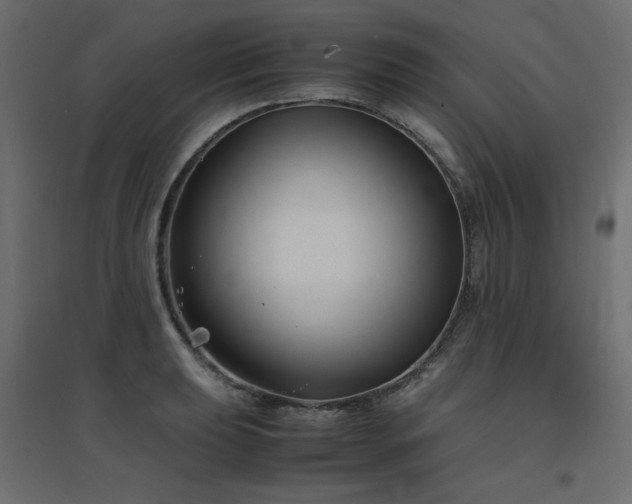 X0000094911039200711291250