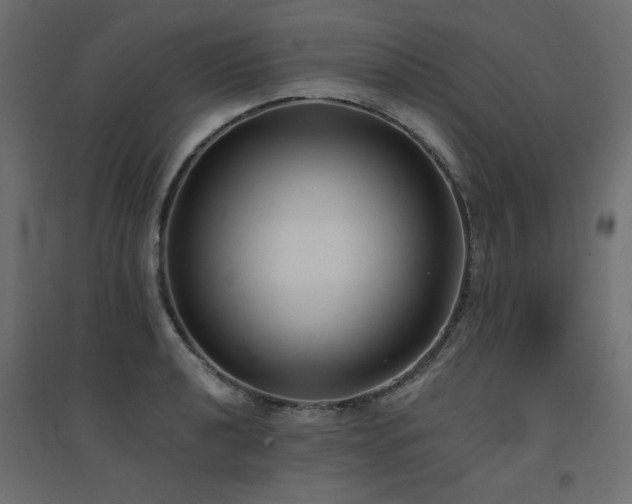 X0000094911040200711291250