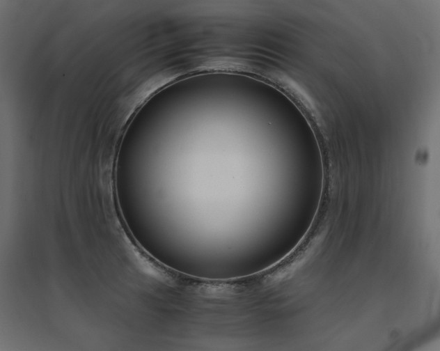 X0000094911041200711291251