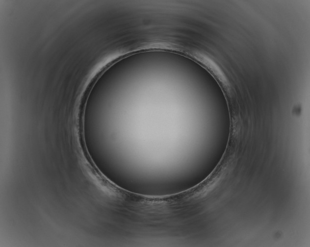 X0000094911043200711291251
