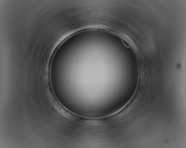 X0000094911044200711291251