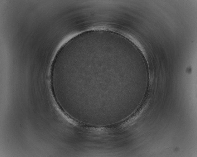 X0000094911045200711291251