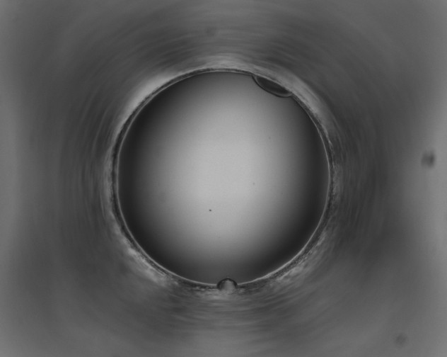 X0000094911048200711291251